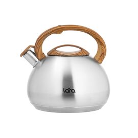  Чайник LARA LR00-78 матовый 4.5л 